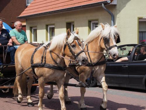 Schützenfest Sonntag 2019